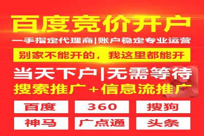 某某sem广告公司成功案例：如何通过SEM优化提高电商销售额